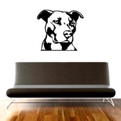 pitbull