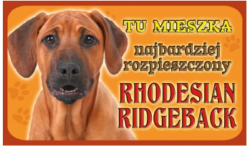 rhodesian ridgeback