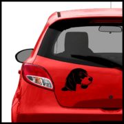 Car-beagle