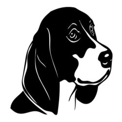 Wandtattoos_Hund_Beagle_1_einzel (1)
