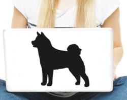 akita