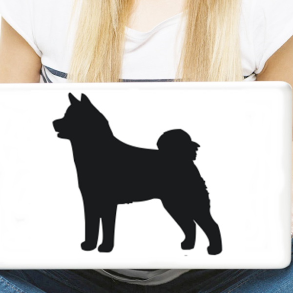 akita