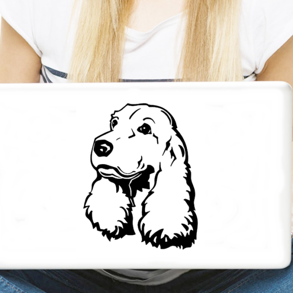 cocker spaniel