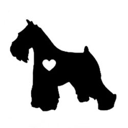 i love