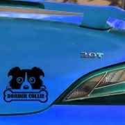 New-Border-Collie-Funny-Dog-Wall-Decal-Car-Sticker-Car-Body-Sticker-Windshield-Decal-DIY-Home.jpg_640x640