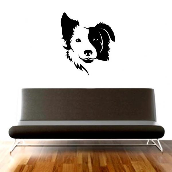 bordder collie2