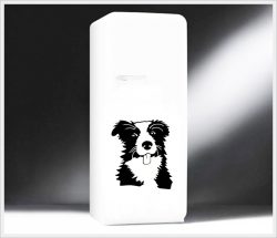 bordercollie-l