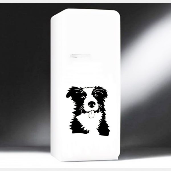 bordercollie-l