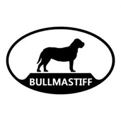 bulmastif4