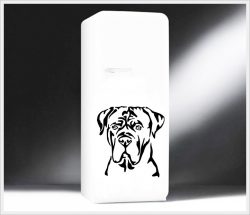 cane corso-l