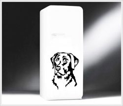 labrador-l