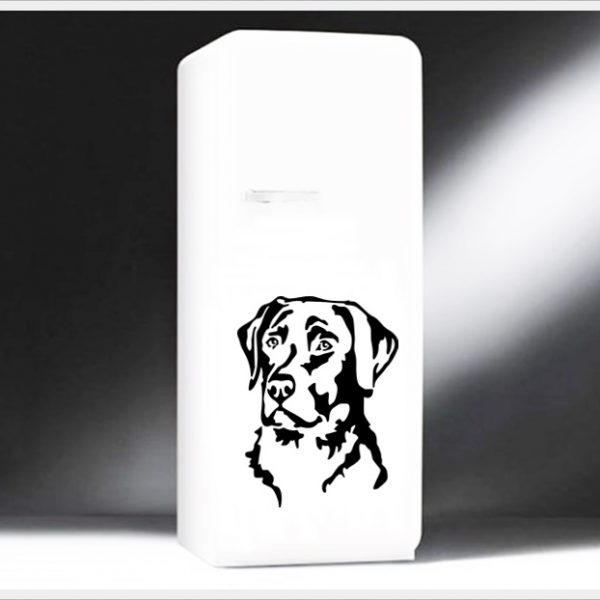 labrador-l