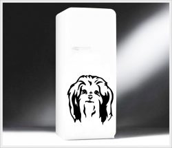 shih-tzu-l