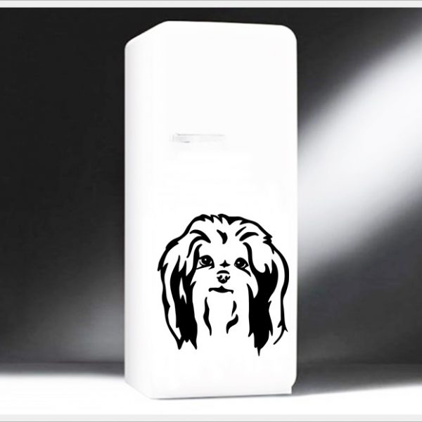 shih-tzu-l