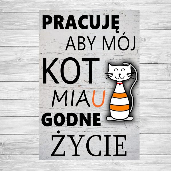magnes kot