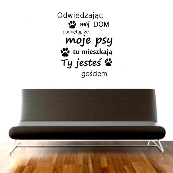 moje psyy 44