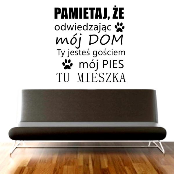 mój pies