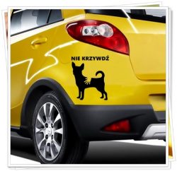 CHIHUAHUA - AUTO