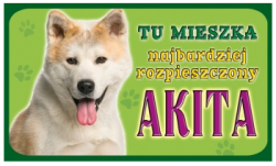 akita