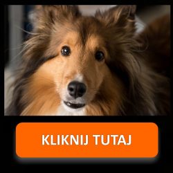 Naklejki informacyjne