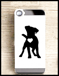 jack russel