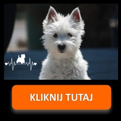 Naklejki - linia życia