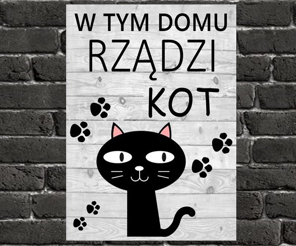 rzadzi kot