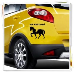 kon - auto