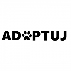 ADOPTUJJJJ