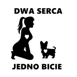york dwa serca